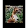 The Boxer: Family Favorite