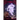 Blood Moon: Book 2 of Painting the Mists