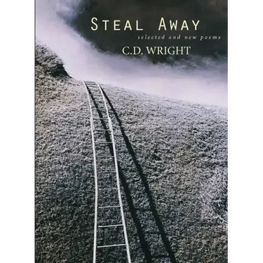 Steal Away: Selected and New Poems