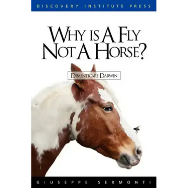Why is a Fly Not a Horse?