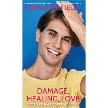 Damage, Healing, Love: A Sweet Gay University Romance Novella