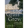 Feel the Grass Grow: Ecologies of Slow Peace in Colombia