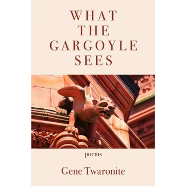 What the Gargoyle Sees