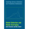 Model Selection and Model Averaging