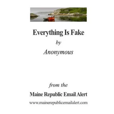 Everything Is Fake: by Anonymous