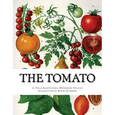 The Tomato