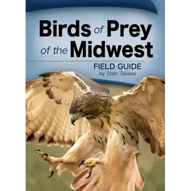Birds of Prey of the Midwest