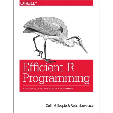 Efficient R Programming: A Practical Guide to Smarter Programming