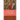 Hurlbut's story of the Bible: Easy to Read Layout - Illustrated in Color