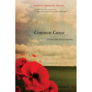Common Cause: A Novel of the War in America