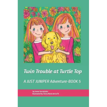Twin Trouble at Turtle Top: A JUST JUNIPER Adventure