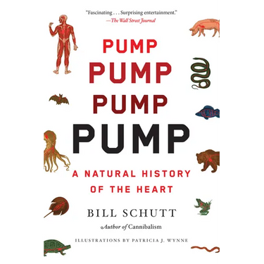 Pump: A Natural History of the Heart