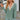 b4802d33-23b5-4190-9180-fddd315ee7c6-Max