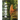 The Calm of the Forest 2026 Calendar