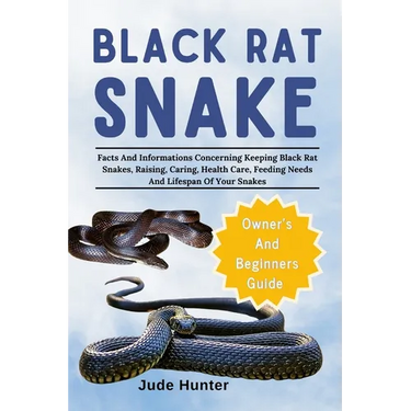 Black Rat Snake: Facts And Informations Concerning Keeping Black Rat Snakes, Raising, Caring, Health Care, Feeding Needs And Lifespan Of Your Snakes