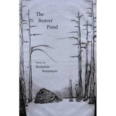 The Beaver Pond