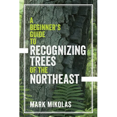 A Beginner's Guide to Recognizing Trees of the Northeast