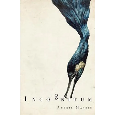 Incognitum