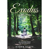 Exodus: 40 Lessons From The Wilderness