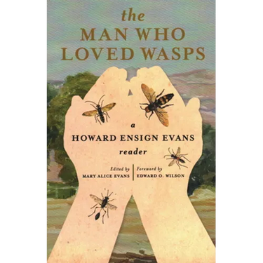 The Man Who Loved Wasps