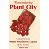 Remembering Plant City: Tales from the Winter Strawberry Capital of the World