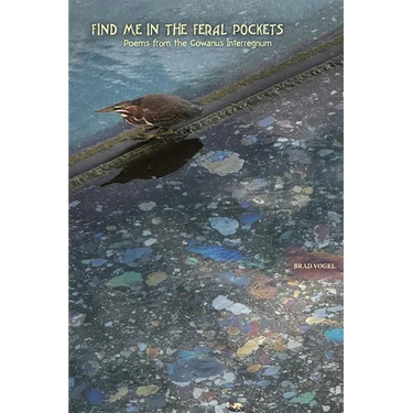 Find Me In the Feral Pockets: Poems from the Gowanus Interregnum