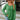 b86b185140214304b1b56d6fa5ad342c-Max