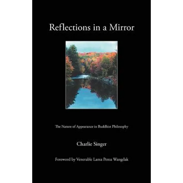 Reflections in a Mirror: The Nature of Appearance in Buddhist Philosophy
