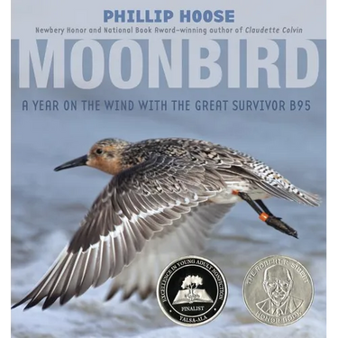 Moonbird: A Year on the Wind with the Great Survivor B95