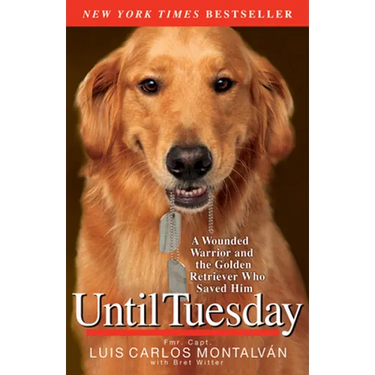 Until Tuesday