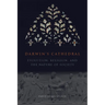 Darwin's Cathedral: Evolution, Religion, and the Nature of Society