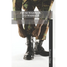 From Warrior, to Warrior