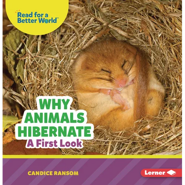 Why Animals Hibernate: A First Look