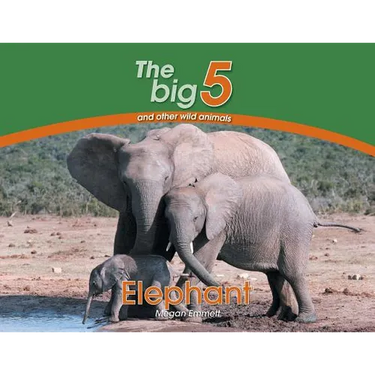 Elephant: The Big 5 and other wild animals