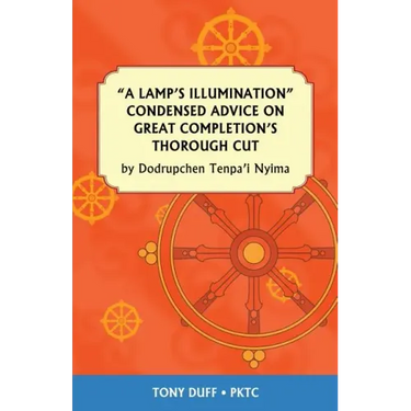 A Lamp's Illumination Condensed Advice on Great Completion's Thorough Cut