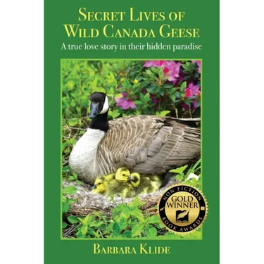 Secret Lives of Wild Canada Geese: A true love story in their hidden paradise