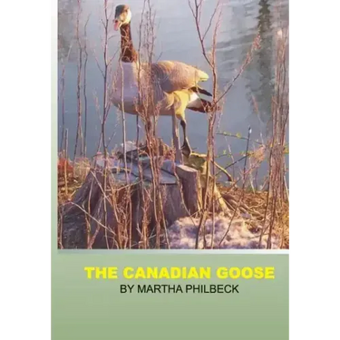 The Canadian Goose: The Canadian goose and how to raise the young