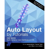 Auto Layout by Tutorials (First Edition): Build Dynamic User Interfaces on iOS