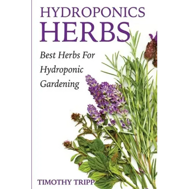 Hydroponics Herbs: Best Herbs For Hydroponic Gardening