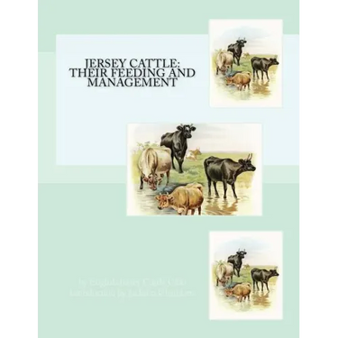 Jersey Cattle: Their Feeding and Management