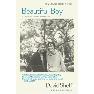 Beautiful Boy (Tie-In): A Father's Journey Through His Son's Addiction