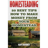 Homesteading: 20 Best Tips How To Make Money From Your Homestead