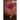 Love and Decay, Volume One: Season One, Episodes 1-6