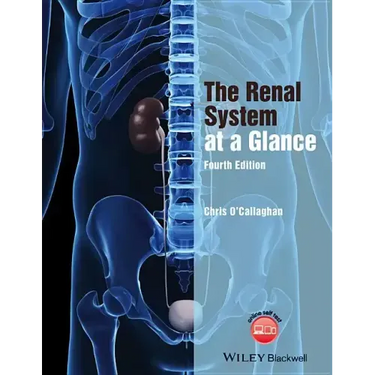 The Renal System at a Glance