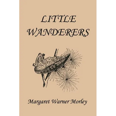 Little Wanderers, Illustrated Edition (Yesterday's Classics)