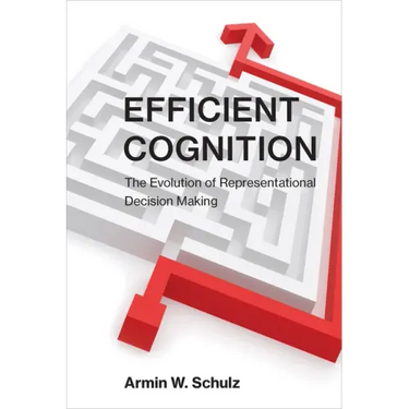 Efficient Cognition: The Evolution of Representational Decision Making