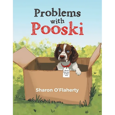 Problems with Pooski