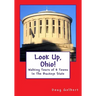 Look Up, Ohio!: Walking Tours of 8 Towns In The Buckeye State