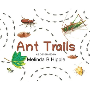 Ant Trails