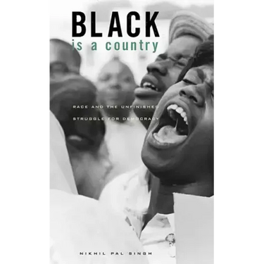 Black Is a Country: Race and the Unfinished Struggle for Democracy